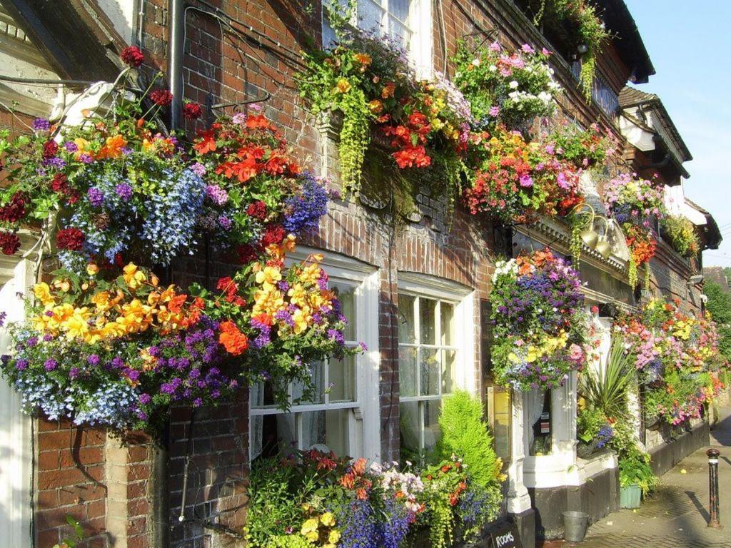 The Castle Inn Hotel Steyning Eksteriør billede