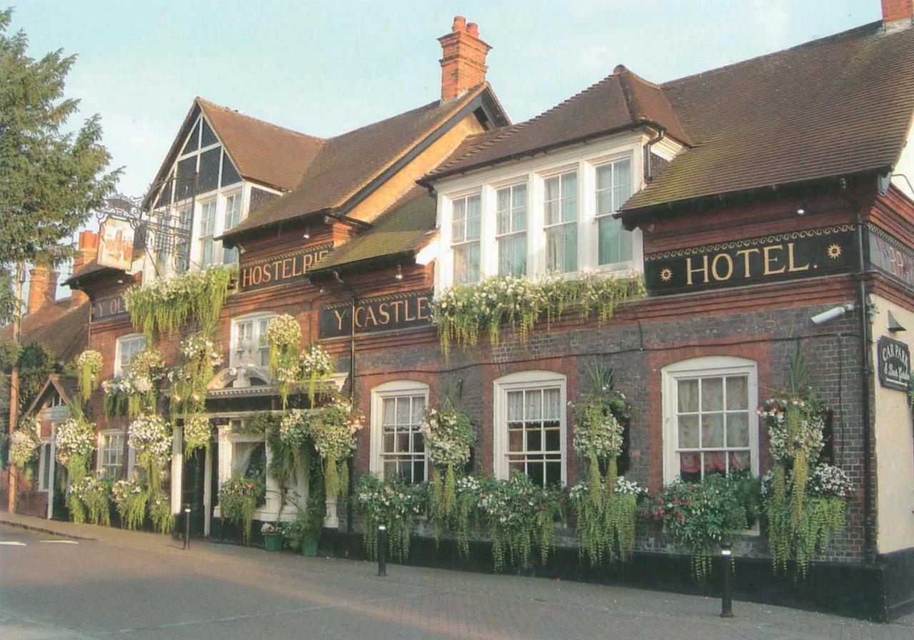 The Castle Inn Hotel Steyning Eksteriør billede